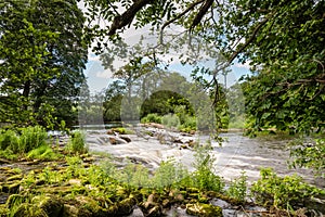 Weir near Weldon