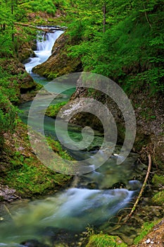 Weissbachschlucht a gorge with a blue mountain stream and many waterfalls forest a hiking trail plants and rocks