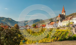 Weissenkirchen in der Wachau Austria vineyards in autumn