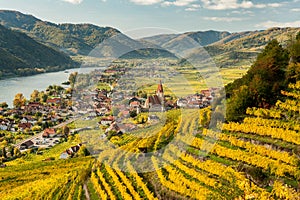 Weissenkirchen Wachau Austria in autumn colored leaves and vineyards