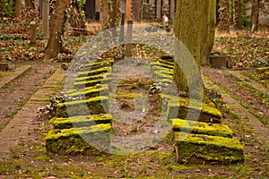 Weissensee Jewish Cemetery European green moss growing on graves scene in Berlin Germany