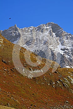 Weisshorn