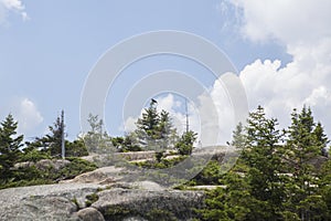 Welch-Dickey Loop Trail