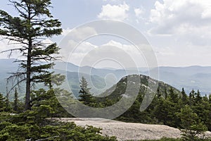 Welch-Dickey Loop Trail