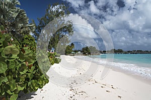 Welches Beach Oistins Barbados West indies