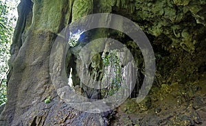 Welchman Hall Gully Park, Barbados