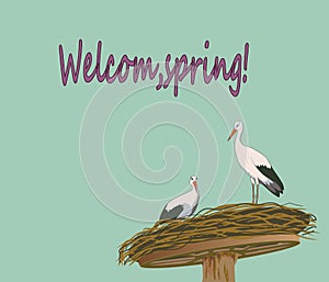 Welcom,spring The sun shines stronger and the birds