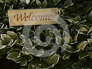 Welcome