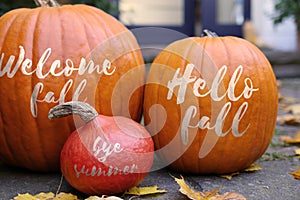 Welcome Autumn and Pumpkins