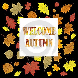 Welcome autumn.Sales banner with leaves