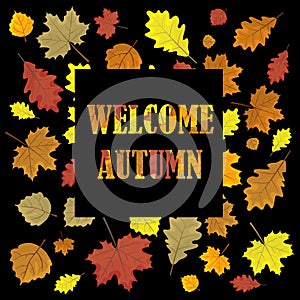 Welcome autumn.Sales banner with leaves