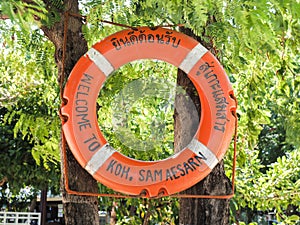 Welcome Circular red Life Buoy hanging on the tamarind tree