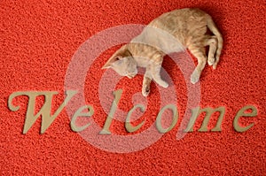 Welcome doormat