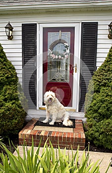 Welcome Home (Front Door w/Dog)