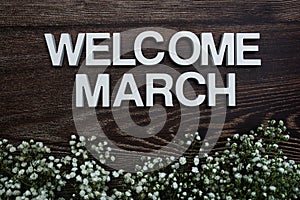 Welcome March alphabet letters with flowers on wooden background