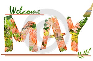 Welcome May background with azalea flowers