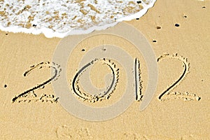 The welcome of the new year 2012