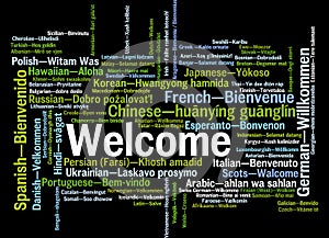 Welcome phrase words cloud concept