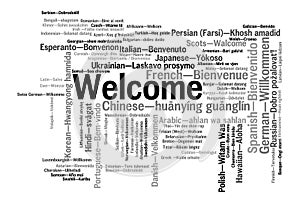 Welcome phrase words cloud concept