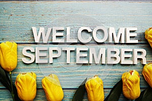 Welcome September alphabet letters with tulip flower on wooden background