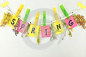 Welcome spring season hanging wall decoration. Flowers and bright yellow and pastel pink colored paper cutouts clipped on a lace.