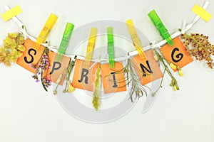 Welcome spring season hanging wall decoration. Flowers and pastel orange colored paper cutouts clipped on a lace.