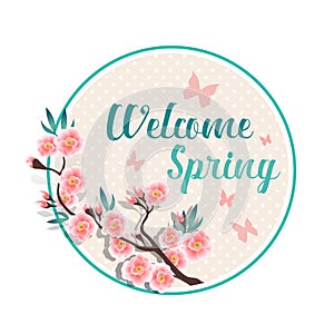 Welcome spring text and Pink flower blossom , butterfly in circle frame and dot background vector design