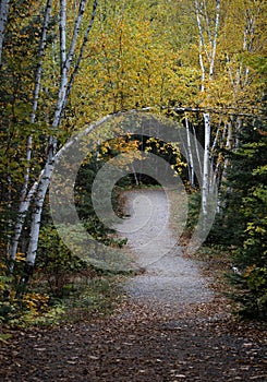 Welcome to autumn in Algonquin Park