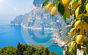 Welcome to Capri concept image. Daylight view of Marina Piccola and Monte Solaro, Capri Island, Italy. Ripe yellow lemons in photo