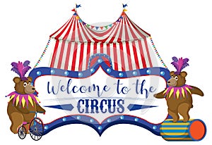 Welcome to the circus with bear performance balancing on ball