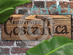 Welcome to Costa Rica Sign on Brick Wall with Tropical Plants Bienvenido photo