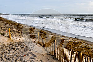 Welcome to the Florida Beach