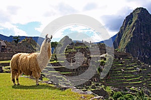 Welcome to Machu Picchu