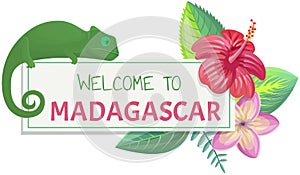Welcome to madagascar banner with hand written word, funny animal chameleon, flowers and leaves