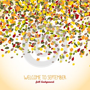 Welcome to September. Autumn banner or flyer.