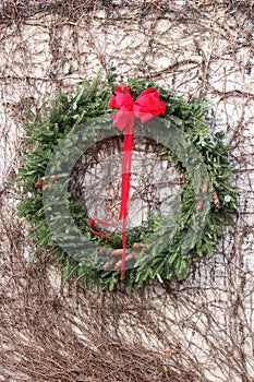 Old weathered stone wall with heavy cover of creeping vine, Winter berries, and Christmas wreath