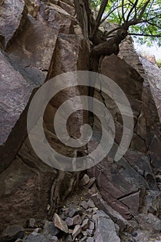 Welded tuff, massive volcanic pink rocks of Rao Jodha Desert Rock Park.