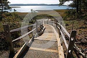 Welfleet bay, Cape Cod