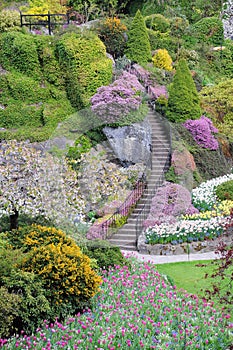well decorated stairs in a garden