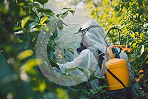 Well-equipped pest control technician monitoring a greenhouse environment and spray with detergent