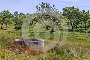Well in a farm field in Vale Seco, Santiago do Cacem photo