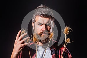 Well-groomed beard. Care for your beard. Beard bristled. Male prickly stubble concept. The prickly bristle. Bearded man photo