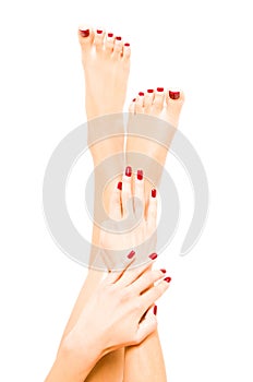 Well-groomed female feet and hands