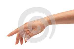 Well-groomed female hand with a manicure in a graceful relaxed pose is isolated on a white background. Cropped view of female hand