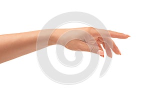 Well-groomed female hand with a manicure in a graceful relaxed pose is isolated on a white background. Cropped view of female hand