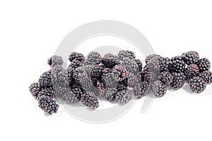 Well how about that you found a lot of fresh sweet blackberry`s