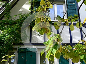 Well maintained half-timbered house with garden