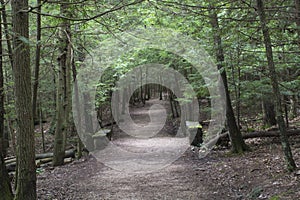 Well maintained hiking path