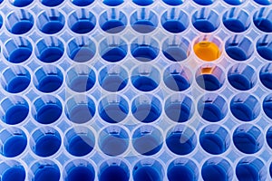 Well plate with samples