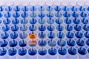 Well plate with samples